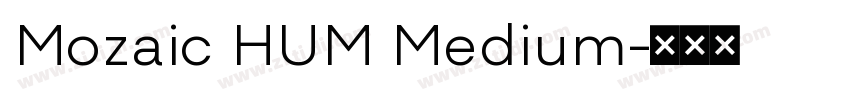 Mozaic HUM Medium字体转换